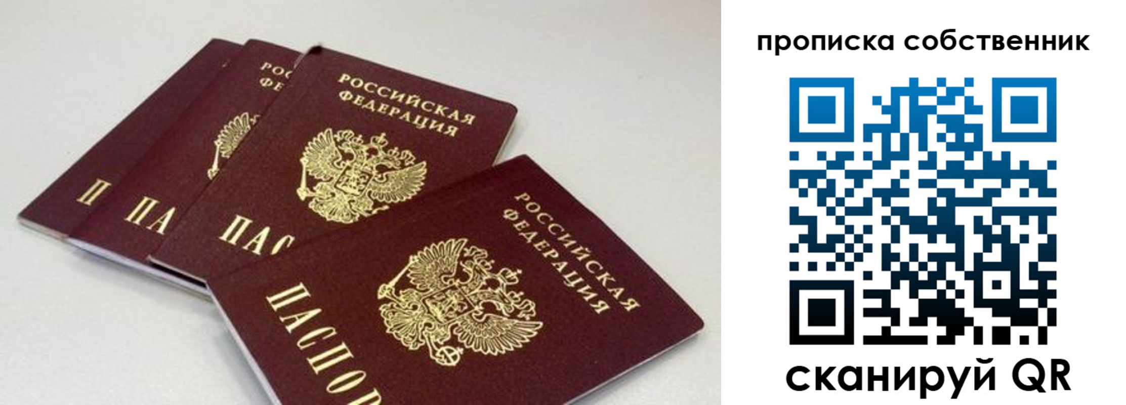 где прописаться в Фролово